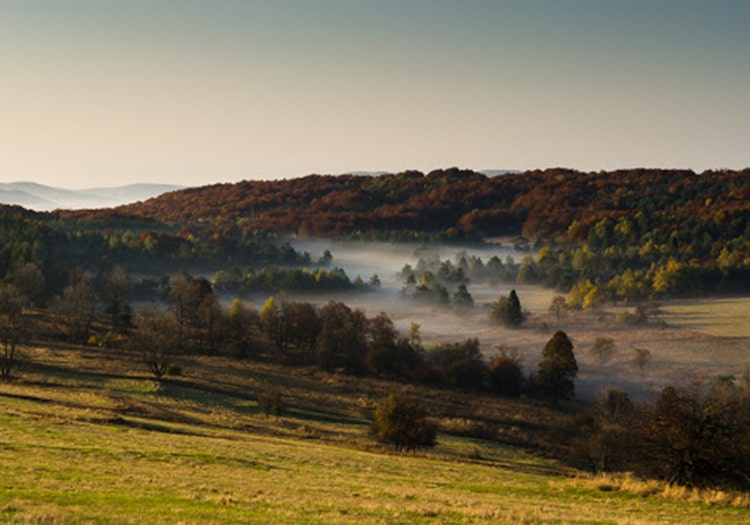 gospodarstwo agroturystyczne magura beskid niski